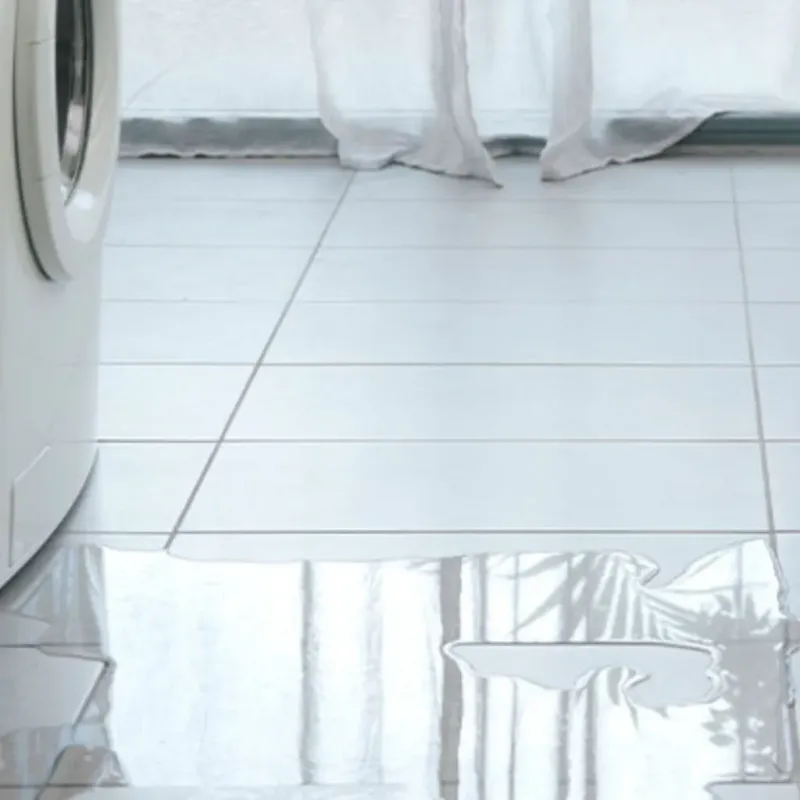 Appliance Leak Cleanup in Walling, TN