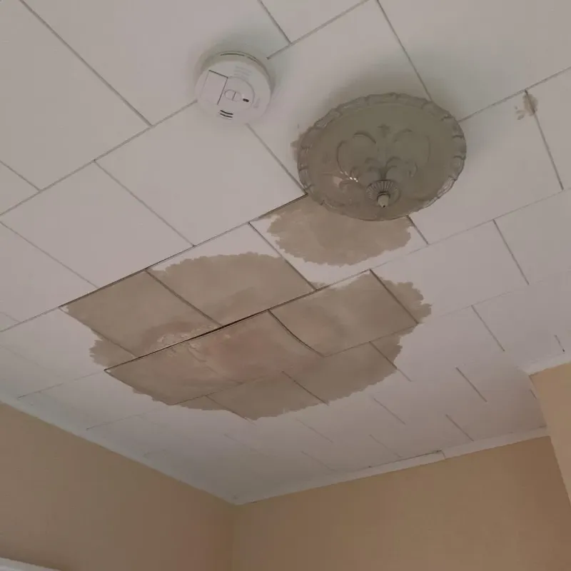 Ceiling Water Damage Repair in Walling, TN