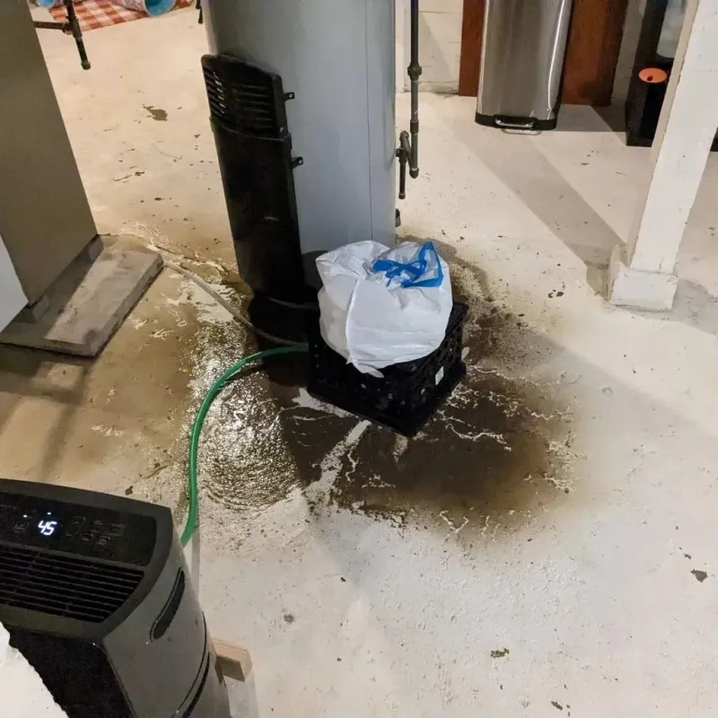 Sewage Backup Cleanup Service in Walling, TN